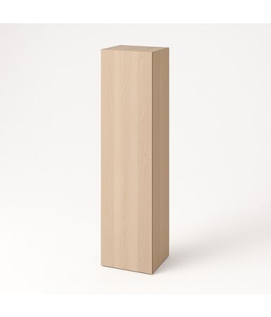 Szafa z pojedynczymi drzwiami i drążkiem